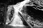 Black & White Waterfall and Logs Up Close preview