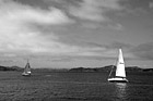 Black & White Two Sailboats in San Francisco Bay preview