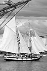 Black & White Tall Ship in Puget Sound preview