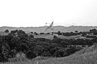 Black & White The Dish at Stanford Foothills preview