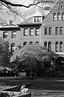 Black & White Brick Building and Squirrel at UW preview