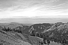 Black & White Olympic National Park View preview
