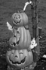 Black & White Halloween Pumpkin Decoration preview