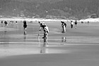 Black & White Photographers on Beach preview