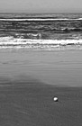 Black & White Tennis Ball on Beach preview