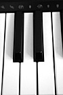 Black & White Piano Keys Close Up preview