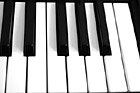Black & White Piano Keys preview