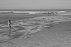 Black & White Beach, Seagulls & Child Playing preview