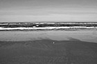 Black & White Tennis Ball on Ocean Beach preview