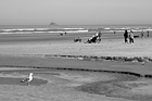 Black & White Cannon Beach, People, & Lighthouse preview