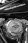 Black & White Harley Davidson Live to Ride preview