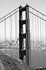 Black & White Vertical Golden Gate Bridge Close Up preview