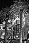 Black & White Forum Shops at Night preview