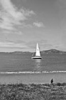 Black & White White Sailboat & Bird on Shore preview