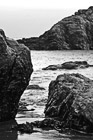 Black & White Rocks & Seaweed on Shore preview
