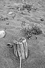 Black & White Wire Fence Buried in Sand preview