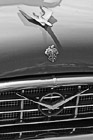 Black & White 1955 Packard Patrician Classic Car Grill preview
