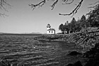 Black & White Lime Kiln Lighthouse & Branches preview