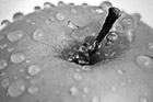 Black & White Water Drops on Apple preview