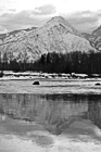 Black & White Mountain Reflection & Snow preview