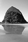 Black & White Haystack Rock & Reflection preview