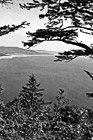 Black & White Oregon Coast & Pacific Ocean preview