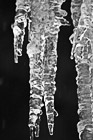Black & White Icicles preview
