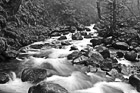 Black & White Multnomah Creek Streaming preview