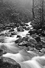 Black & White Multnomah Creek preview