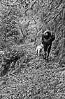 Black & White Hiker & Dog on Trail preview