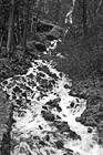 Black & White Wahkeena Falls preview