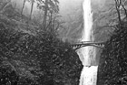 Black & White Multnomah Falls & Fog preview