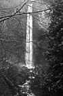 Black & White Latourell Falls, Bridge & Trees preview