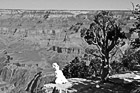 Black & White Snowman Looking at Grand Canyon preview