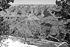 Black & White Grand Canyon Rim & Snow preview