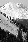 Black & White Mt. Rainier Close Up at Top of Crystal Mountain preview