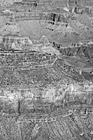 Black & White Grand Canyon Close Up at South Rim preview