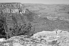 Black & White South Rim Grand Canyon View preview