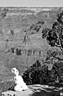 Black & White Snowman & Grand Canyon preview