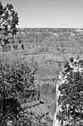 Black & White Maricopa Point Grand Canyon View preview