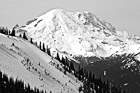Black & White Mt. Rainier From Crystal Mountain preview