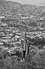 Black & White Camelback Mountain, Cactus, & Scottsdale preview
