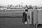 Black & White Phoenix Airport Terminal preview