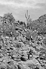Black & White People Hiking up Camelback Mountain preview