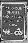 Black & White Poisonous Snakes & Insects Sign preview