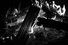 Black & White Campfire preview