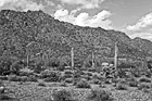 Black & White Arizona Landscape preview