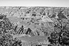 Black & White Grand Canyon View preview