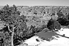 Black & White Grand Canyon Snow and View preview