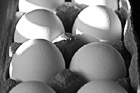 Black & White Eggs preview